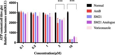 Predictive Nephrotoxicity Profiling of a Novel Antifungal Small Molecule in Comparison to Amphotericin B and Voriconazole